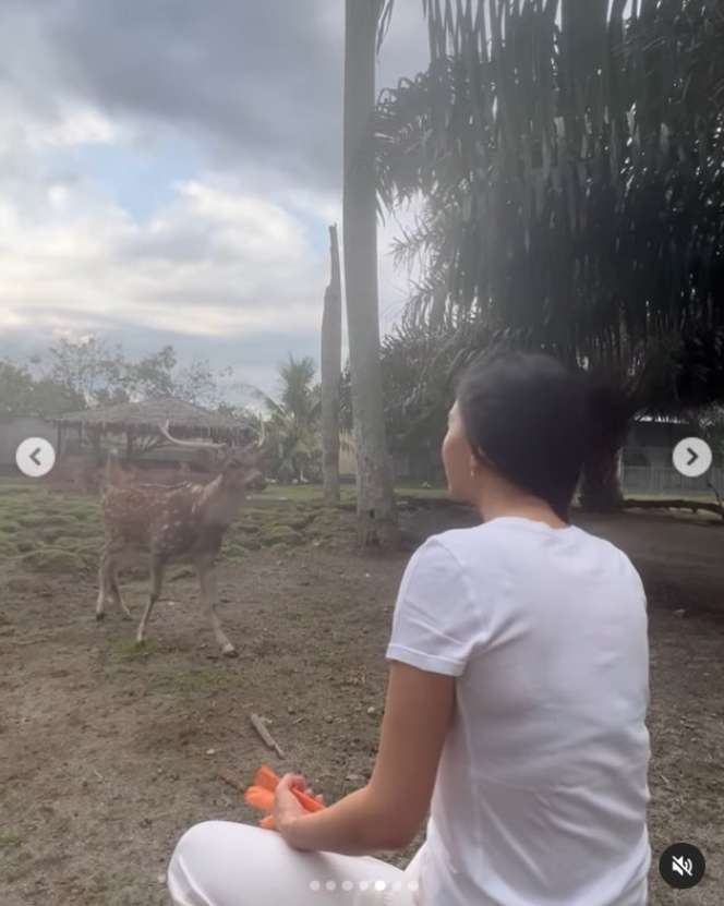 10 Potret Rumah Artis ini Punya Kebun Binatang Pribadi, Raline Shah Lebih Sultan dari Raffi Ahmad!
