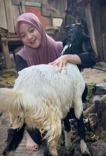 Tiktoker Cantik Ini Dihujat Punya Gaya Elite Tapi Rumah Sulit, Kini Bungkam Haters dengan Cara Terbaik!