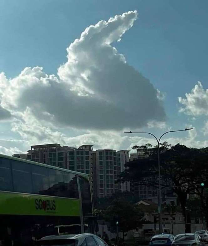 Deretan Benda Nyeleneh Ini Ternyata Mirip Banget, Penampakannya Bisa Menipu Mata!