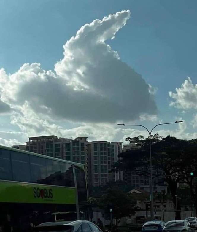 Deretan Benda Nyeleneh Ini Ternyata Mirip Banget, Penampakannya Bisa Menipu Mata!