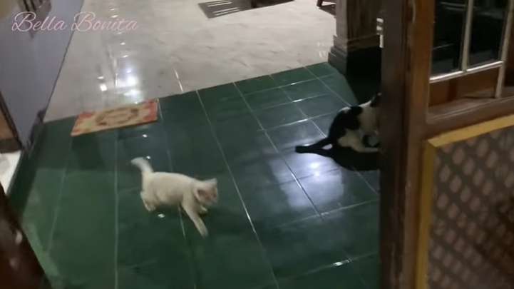 10 Potret Rumah Bella Bonita di Madiun, Calon Istri Denny Caknan, Ternyata Sederhana & Masih Jadul!