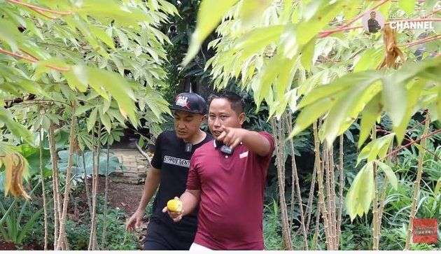 10 Potret Nasib Artis yang Tinggalkan Dunia Hiburan: Komedian Terkenal Jadi Penggiling Padi, Artis Cantik Warkop DKI Jualan Tahu Keliling