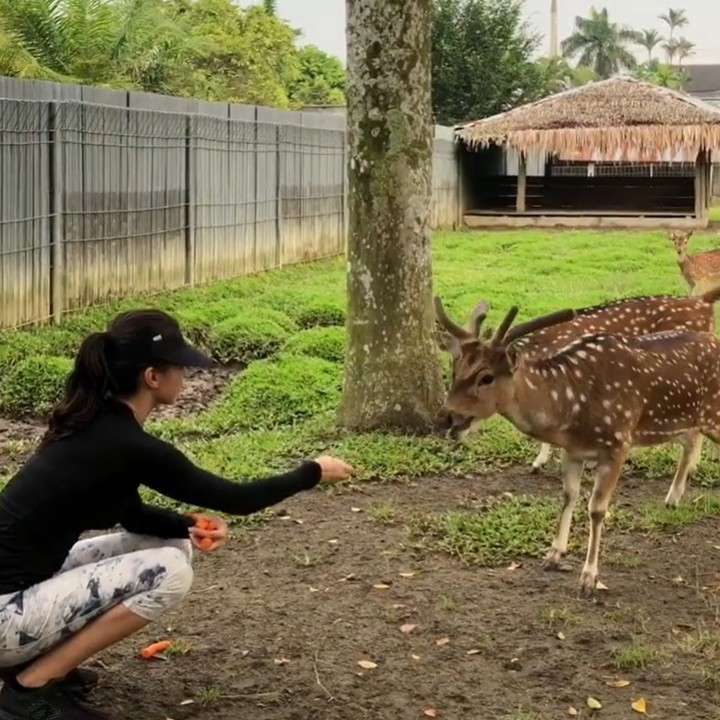 Bocil Gemas ini Kini Jadi Artis Papan Atas, Cantik & Kaya Raya, Rumahnya Ada Kebun Binatang, Lihat Potretnya