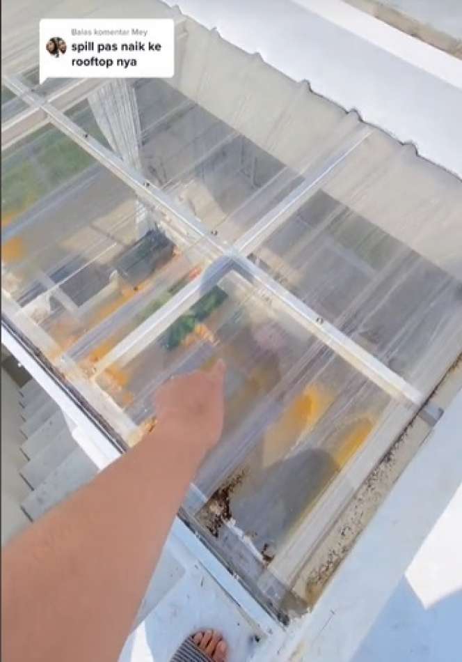 Potret Rooftop Unik Dalam Rumah Ini Bikin Jantung Ketar-ketir, Seperti Lagi Main Minicraft!