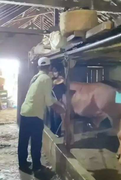 Potret Rumah Beralaskan Semen Milik Biduan Koplo, Penampakan Dapurnya Bikin Melongo 