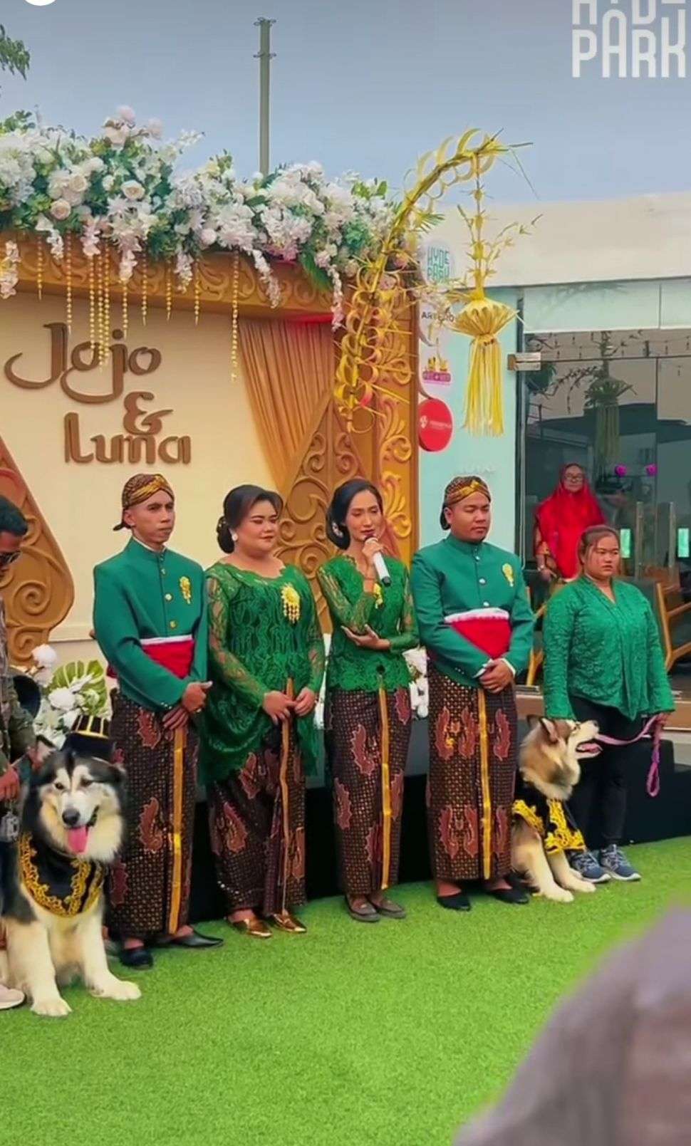 Viral Pernikahan Anjing Jojo-Luna Habiskan Rp200 Juta Berakhir Tinggal Terpisah, Lihat 8 Potretnya