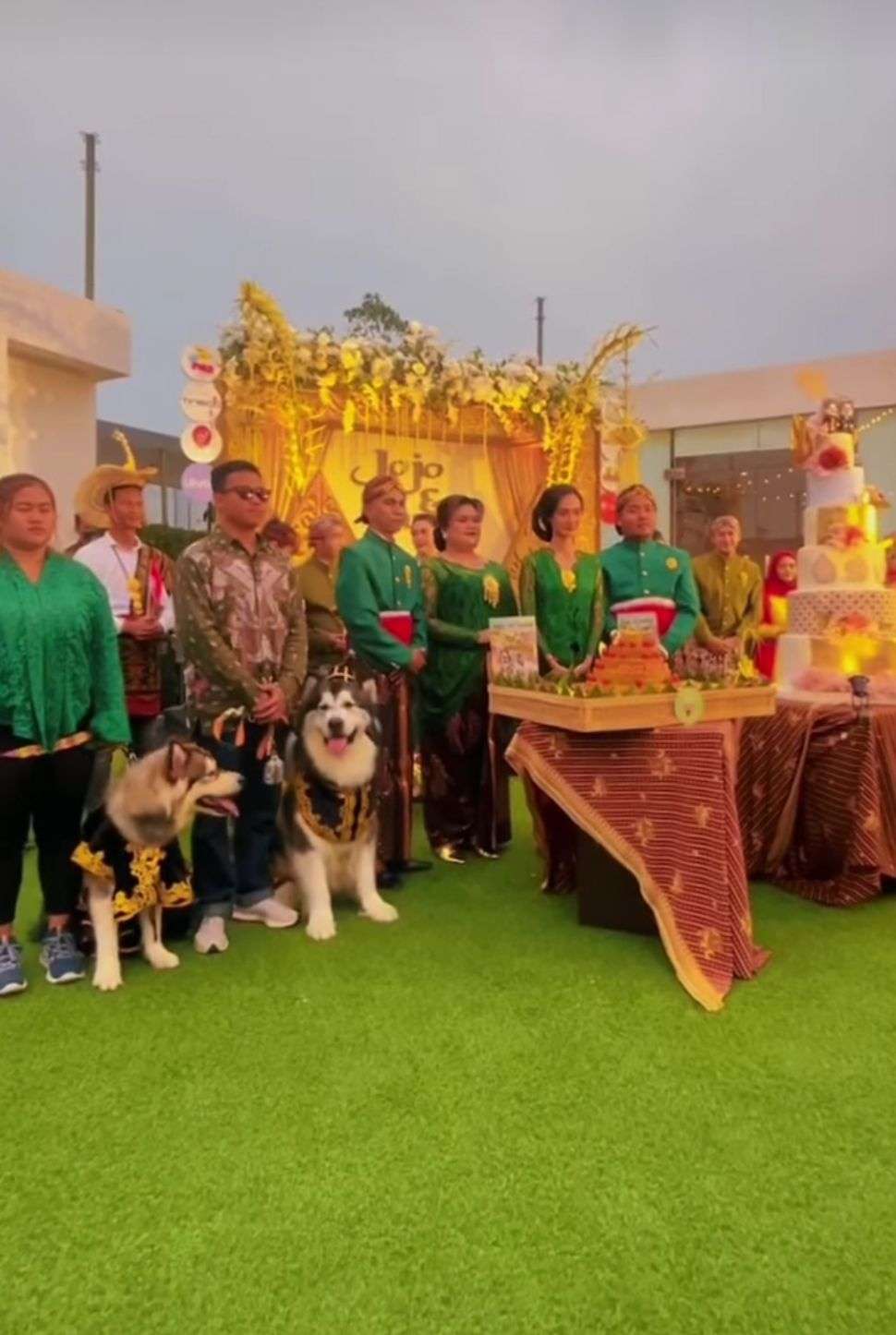 Viral Pernikahan Anjing Jojo-Luna Habiskan Rp200 Juta Berakhir Tinggal Terpisah, Lihat 8 Potretnya