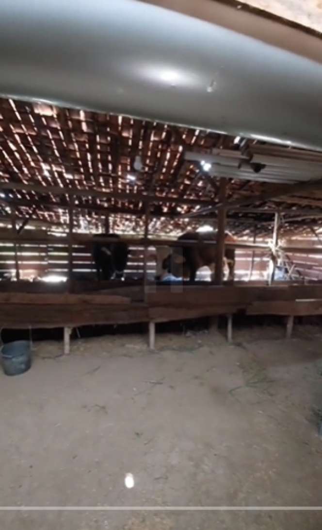 Viral Rumah Sultan Zaman Dulu, Mewah & Luas Bak Istana Keraton, Ada Taman Buahnya, Lihat Potretnya