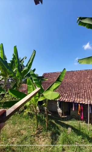 Viral Rumah Sultan Zaman Dulu, Mewah & Luas Bak Istana Keraton, Ada Taman Buahnya, Lihat Potretnya