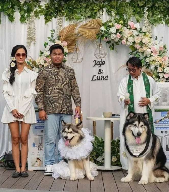 10 Potret Indira Ratnasari, Crazy Rich yang Dihujat Gelar Pernikahan Anjing Rp200 Juta, Ternyata Tim Stafsus Jokowi