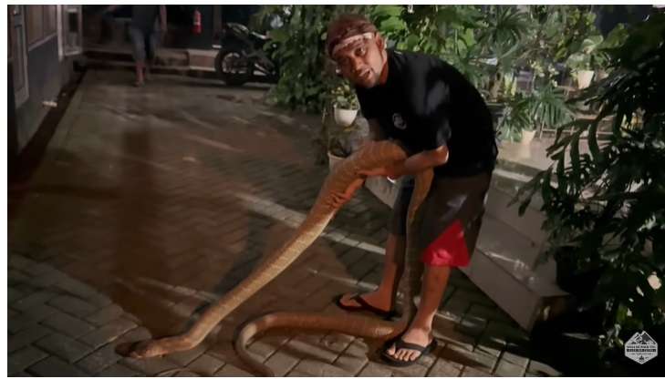 Jadi Lebih Kurus, Penampilan Panji Petualang Berubah Drastis, Ternyata Ini Penyebabnya Disebut Lebih Bahaya Dari Gigitan Ular King Kobra