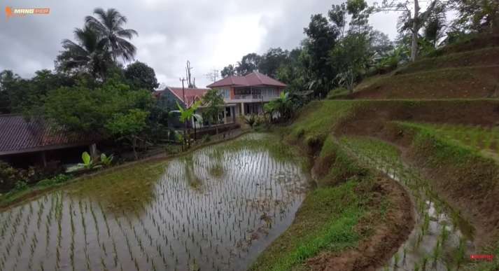 Tak Disangka Rumah Mewah Mepet Sawah Ini Milik Pedangdut Ternama, Dulu Berdinding Bambu Kini Berubah Drastis Usai Direnovasi