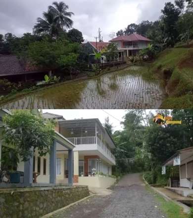 10 Potret Rumah Artis di Tengah Sawah, Terakhir Bak Istana di Kelilingi Persawahan, Surga Banget! 