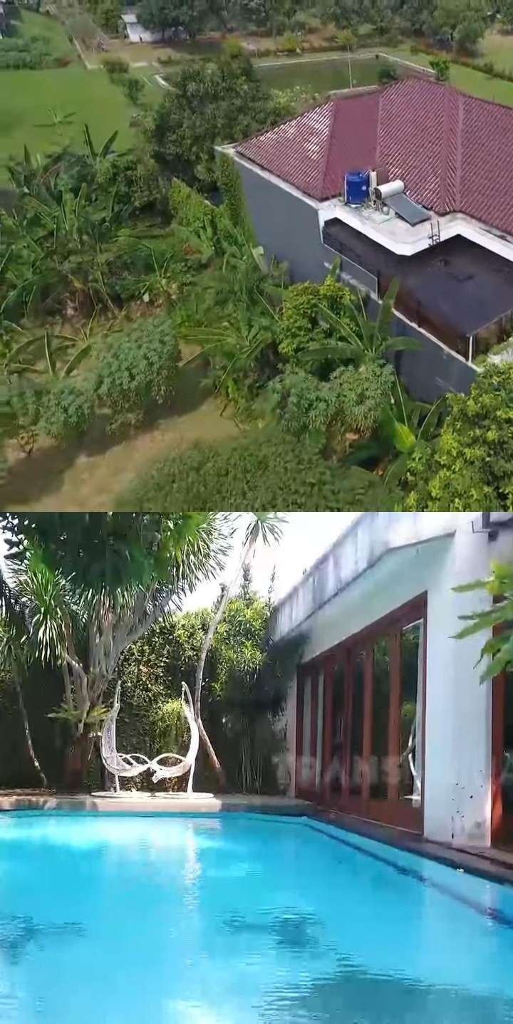 10 Potret Rumah Artis di Tengah Sawah, Terakhir Bak Istana di Kelilingi Persawahan, Surga Banget! 