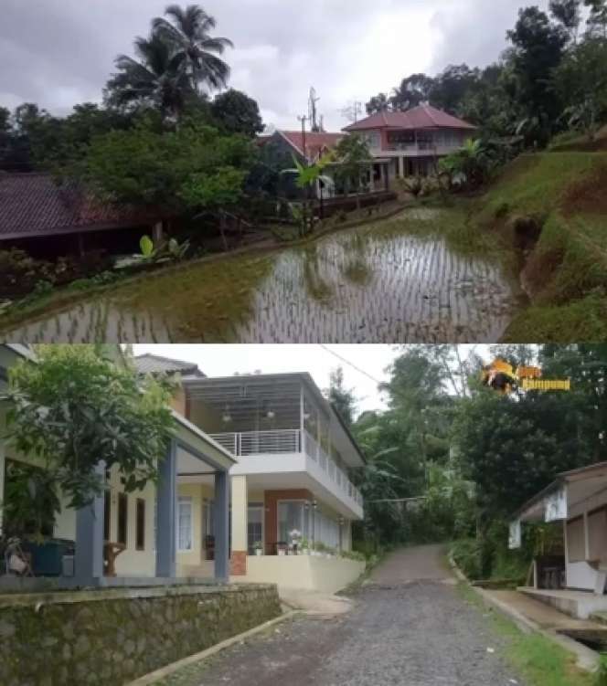10 Potret Rumah Artis di Tengah Sawah, Terakhir Bak Istana di Kelilingi Persawahan, Surga Banget! 