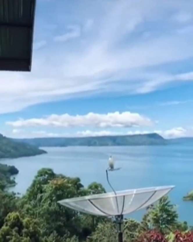 Viral Rumah Sederhana Pemandangannya Bak Resort Mewah, Dikelilingi Danau & Pegunungan, Lihat Potretnya Bak di Surga
