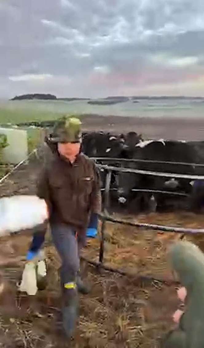 7 Potret Kabar Terbaru Peggy Melati Sukma, Bantu Suami Beternak Sapi