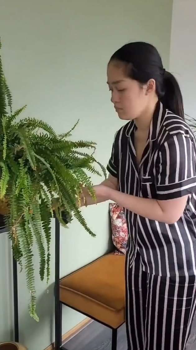 Potret Apartemen Gracia Indri di Belanda, Berkonsep Open Space yang Bikin Nyaman