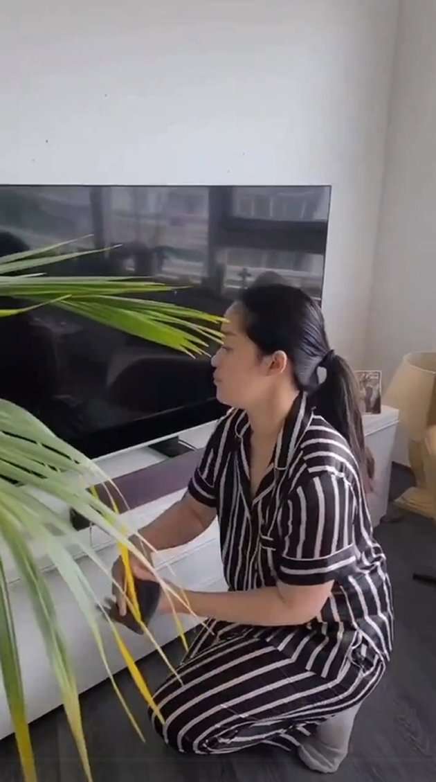 Potret Apartemen Gracia Indri di Belanda, Berkonsep Open Space yang Bikin Nyaman