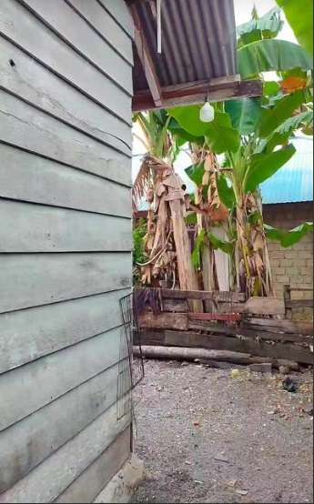Potret Rumah Anti Sombong Menipu Mata, Dari Luar Berdinding Papan, Lihat Isi Dalamnya Bikin Syok, Netizen: `Nggak Nyangka`