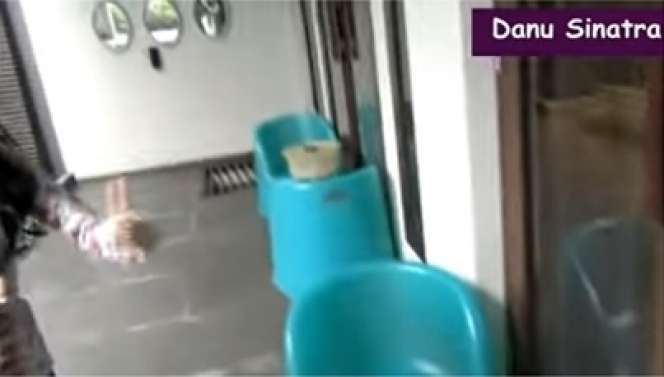 8 Potret Rumah Sheryl Sheinafia, Ada Tempat Unik untuk Cari Inspirasi