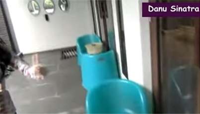 8 Potret Rumah Sheryl Sheinafia, Ada Tempat Unik untuk Cari Inspirasi