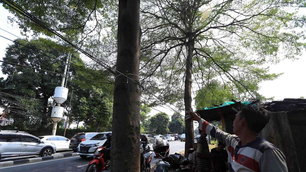 FOTO: Kabel Fiber Optik Semrawut di Lokasi Sultan Mengalami Kecelakaan