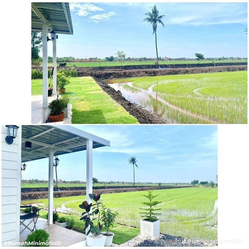 8 Potret Rumah Minimalis nan Estetik Pinggir Sawah, Vibes-nya Kayak di Homestay Bali