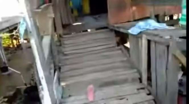 Dulu Tinggal di Rumah Berdinding Kayu, Kini Selfi Yamma LIDA Bangun Hunian Mewah Berkonsep Minimalis