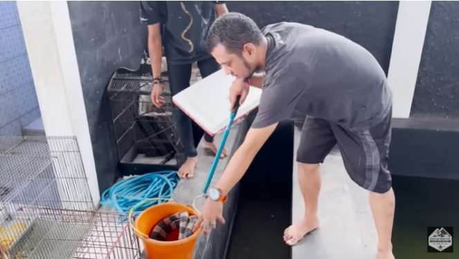 Hewan Berbisa Ini Kepergok Panji Petualang Masuk Blackhouse, Ternyata 6 Kali Lebih Kuat dari Ular Kobra!