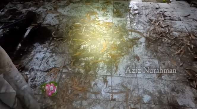 Kisah Kelam di Balik Terbengkalainya Rumah Mewah di Yogyakarta, Jadi Saksi Bisu Kasus Pembunuhan Tragis!