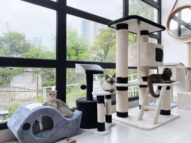 Potret Rumah Tyas Mirasih yang Punya Spot Instagramable di Setiap Sudut, Desainnya Bikin Betah