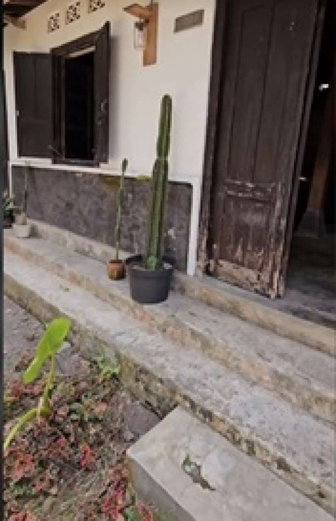 Jogja Sejuta Rasa, Omah Desa Disulap Jadi Estetik Kayak Nginep di Rumah Simbah, Ayem Pol!