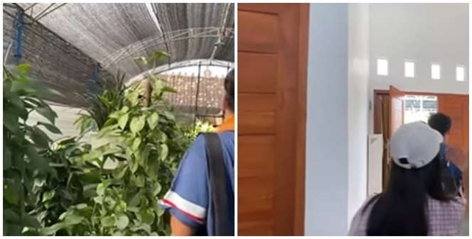 Deretan Rumah Artis di Jogja, Ada yang di Tengah Sawah dengan View Gunung Merapi, Adem dan Tenang Banget