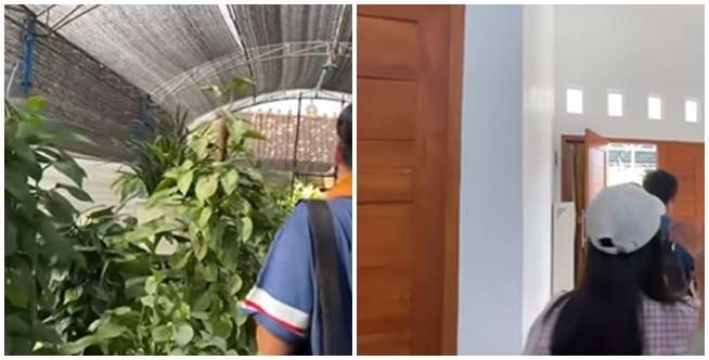 Deretan Rumah Artis di Jogja, Ada yang di Tengah Sawah dengan View Gunung Merapi, Adem dan Tenang Banget