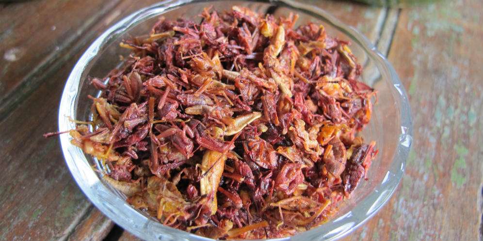 Tujuh Kali Perang, Rasul Konsumsi Daging Belalang