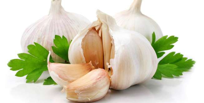 Bawang Putih