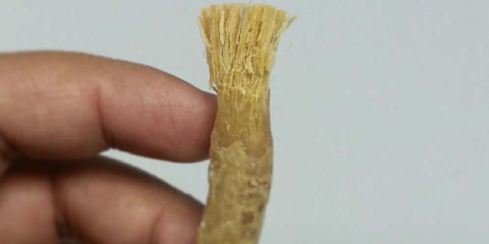 Keutamaan Siwak Untuk Kesehatan Gigi