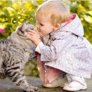 Kucing Penyelamat Bayi Terlantar