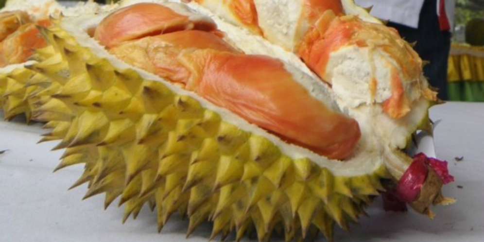 Cara Pintar Memilih Durian Matang dan Enak