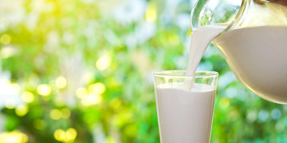 Lengkapi Nutrisi Ibu Hamil Dengan Minum Susu Sapi