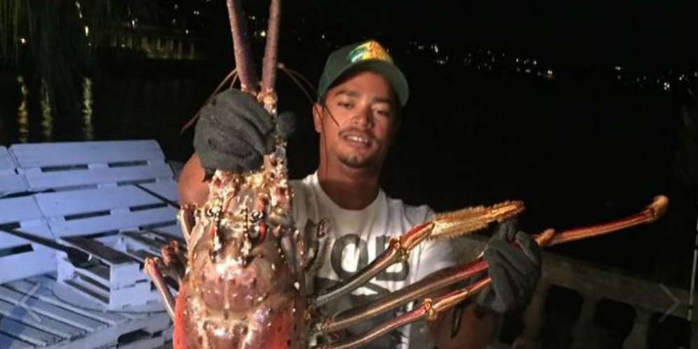 Lobster dilepas ke habitat aslinya..