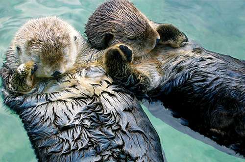 Fakta unik di dunia Fakta unik di dunia