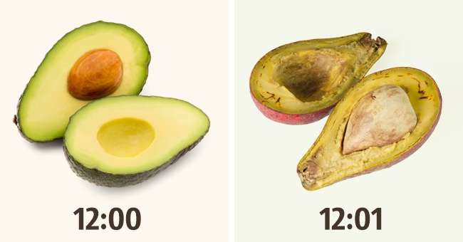 Fakta Makanan