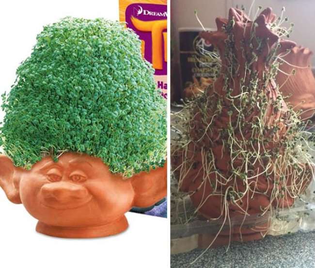 Gagal Belanja Online Gagal Belanja Online