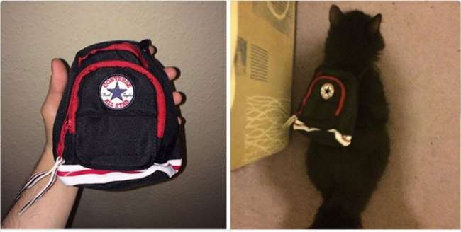 Gagal Belanja Online Gagal Belanja Online