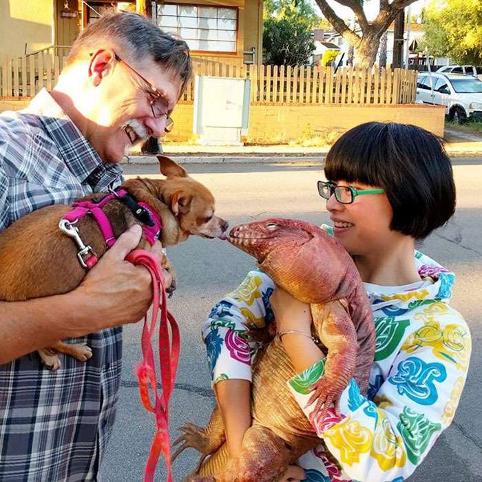 MacGyver the Lizard MacGyver the Lizard