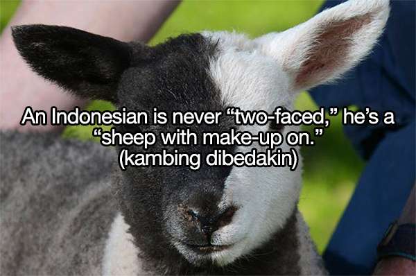 Ungkapan Lucu