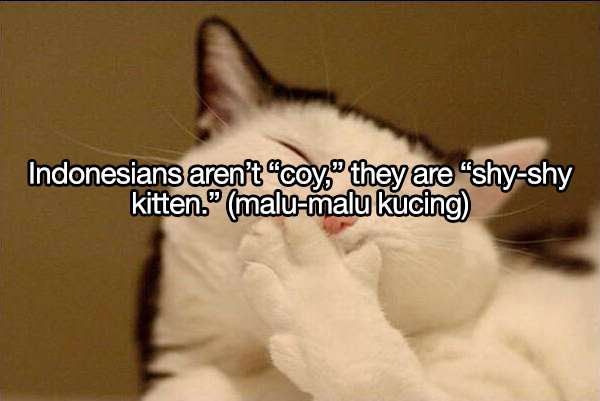 Ungkapan Lucu
