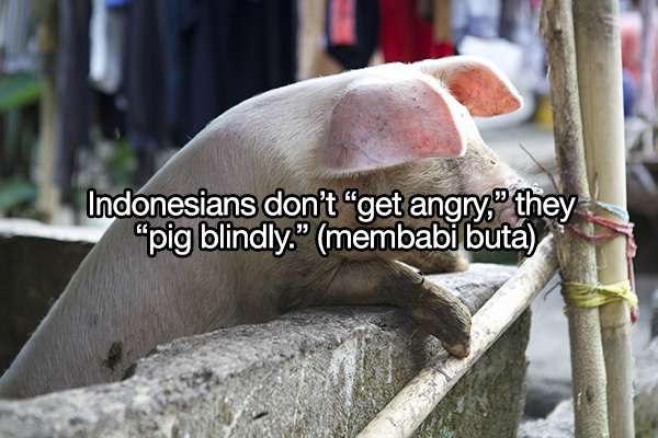 Ungkapan Lucu